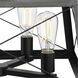 Briarwood 4 Light 20 inch Textured Black Chandelier Ceiling Light